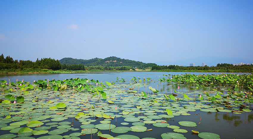 池州水環(huán)境PPP-南湖項(xiàng)目